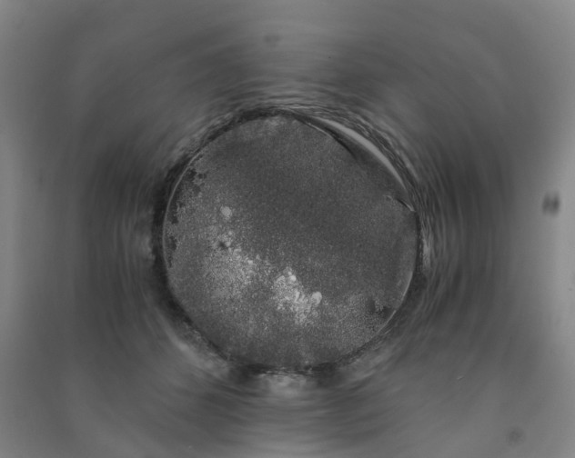 X0000091240512200708161739