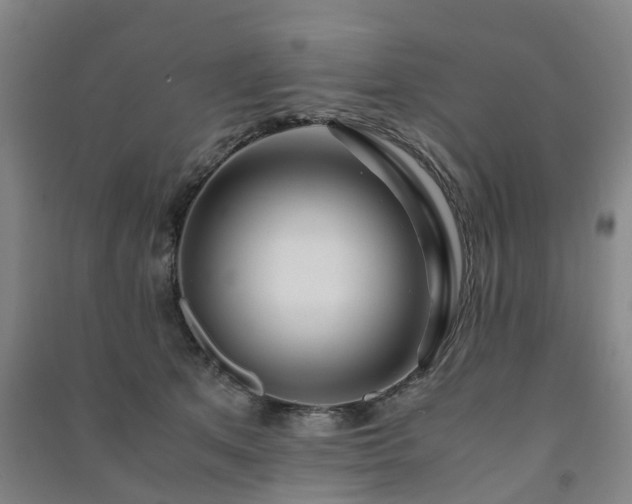 X0000091240513200708161739