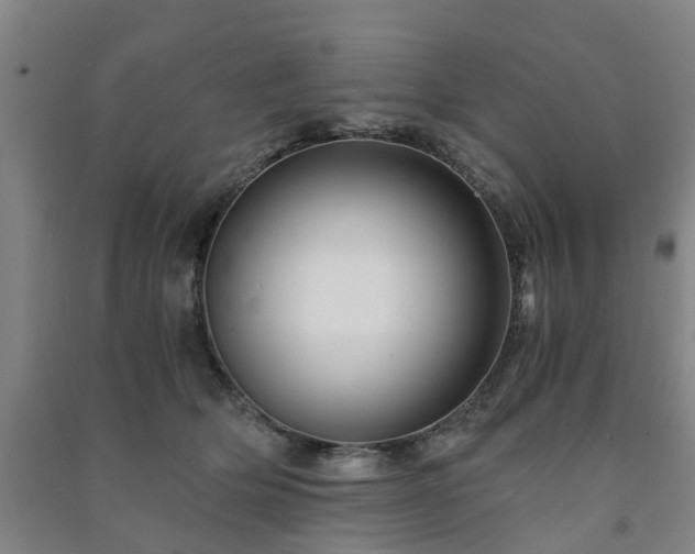 X0000091240514200708161739