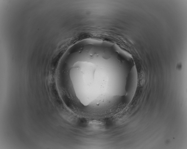 X0000091240515200708161739