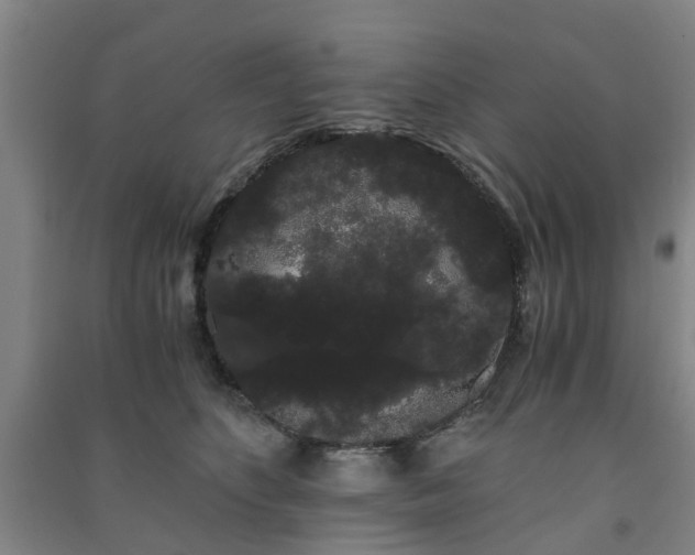 X0000091240516200708161739