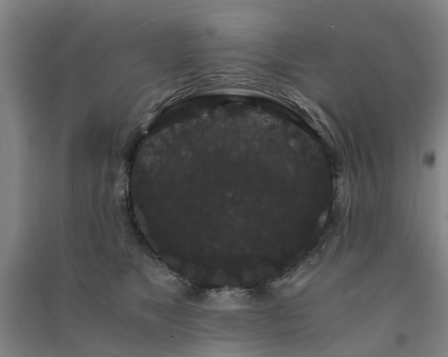 X0000091240517200708161739