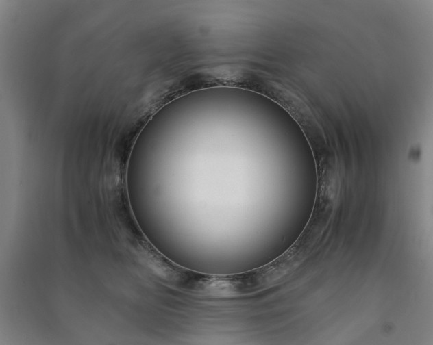 X0000091240518200708161738