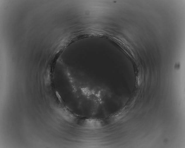 X0000091240520200708161738