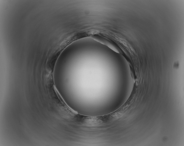X0000091240521200708161738