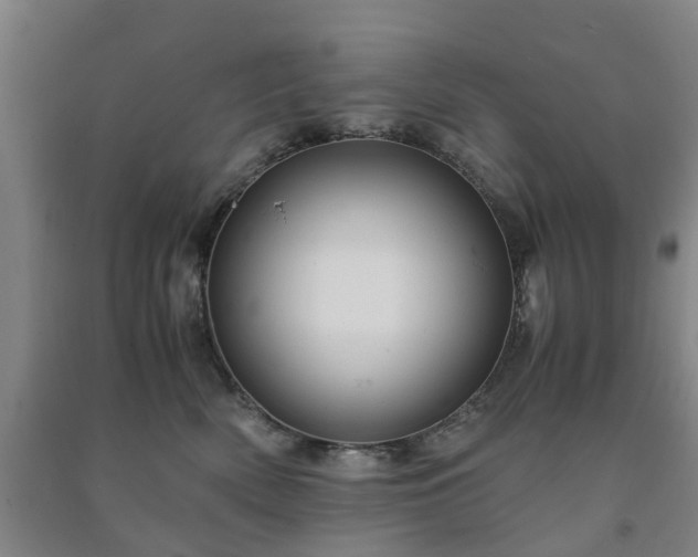 X0000091240522200708161738