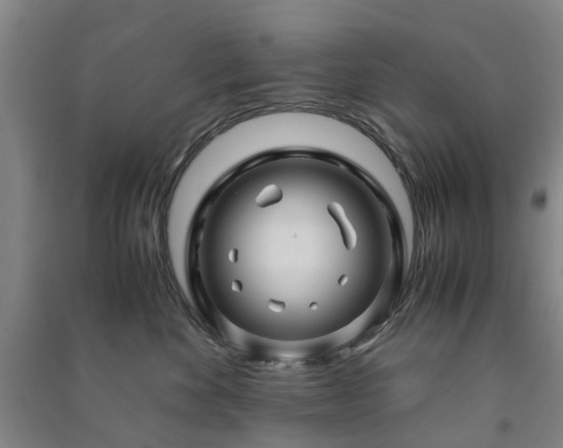 X0000091240524200708161738
