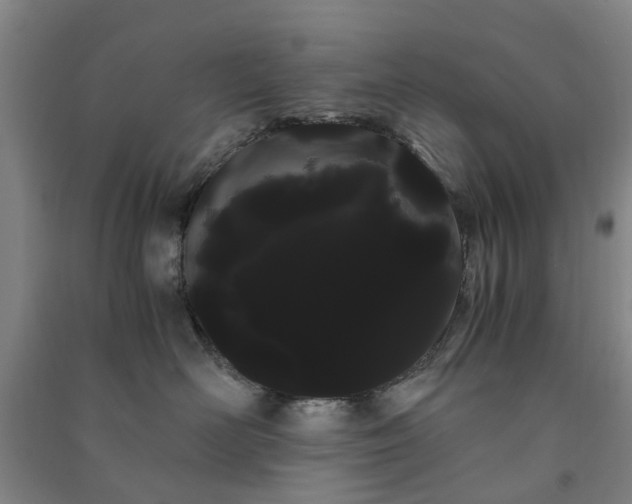 X0000091240526200708161738