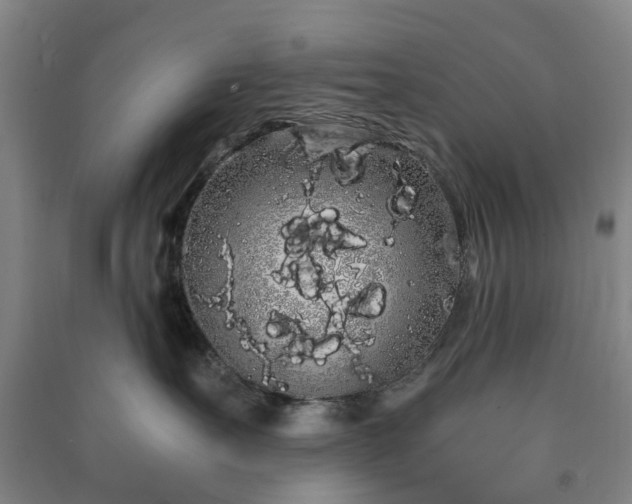 X0000091240527200708161738