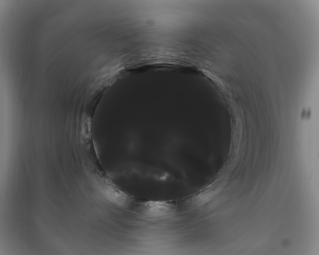 X0000091240528200708161738