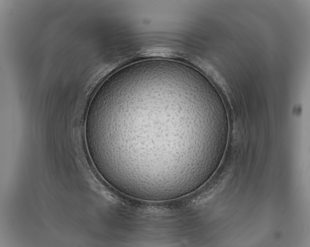 X0000091240529200708161738