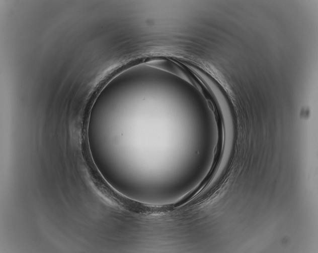 X0000091240530200708161738