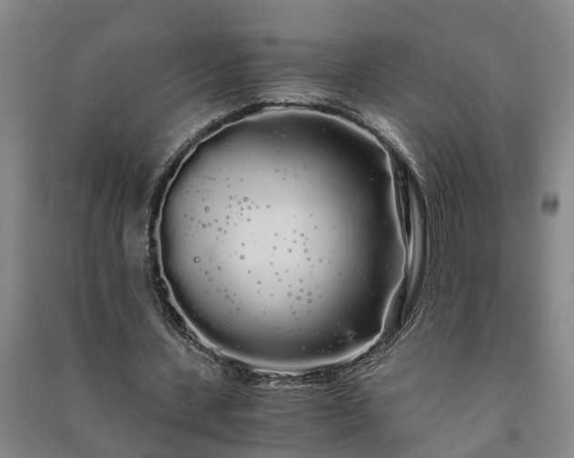 X0000091240531200708161738