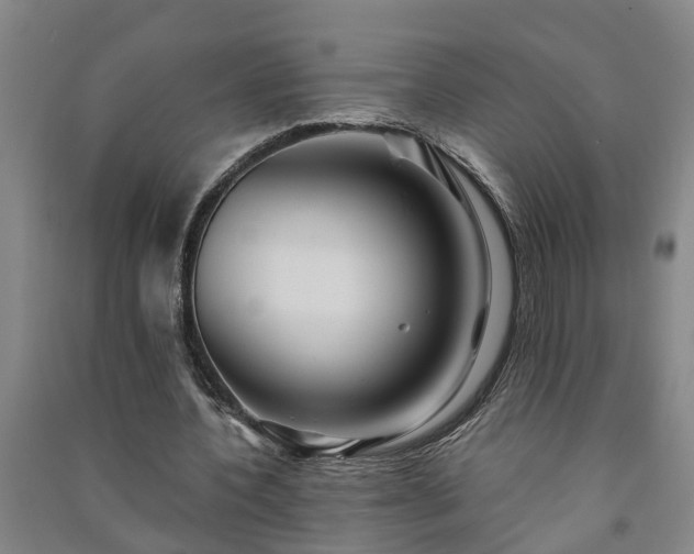 X0000091240532200708161738