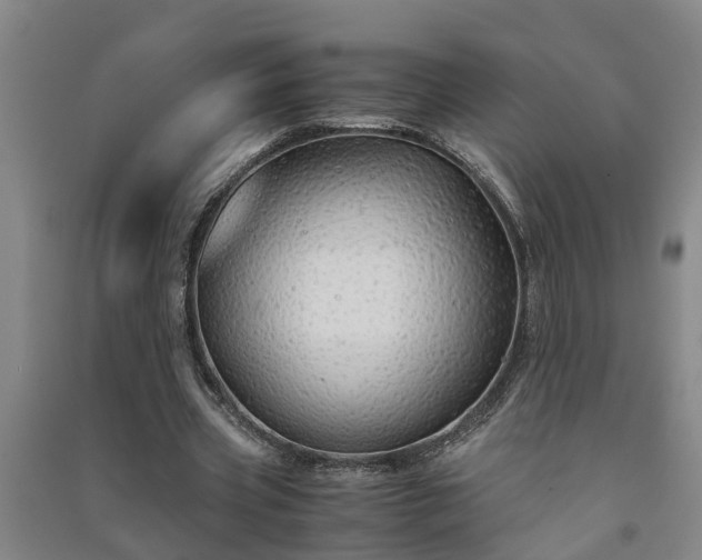 X0000091240533200708161738