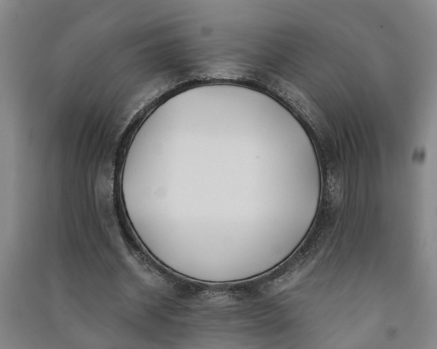 X0000091240534200708161738