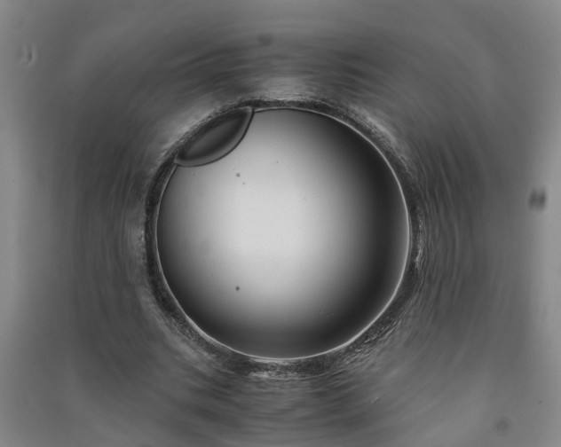 X0000091240535200708161738