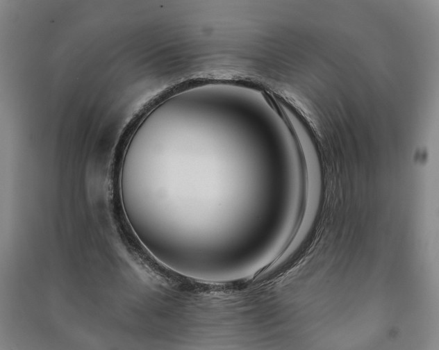 X0000091240536200708161738