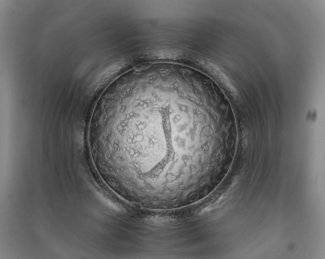 X0000091240537200708161738