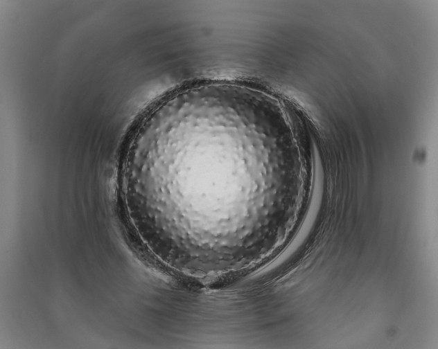 X0000091240540200708161738