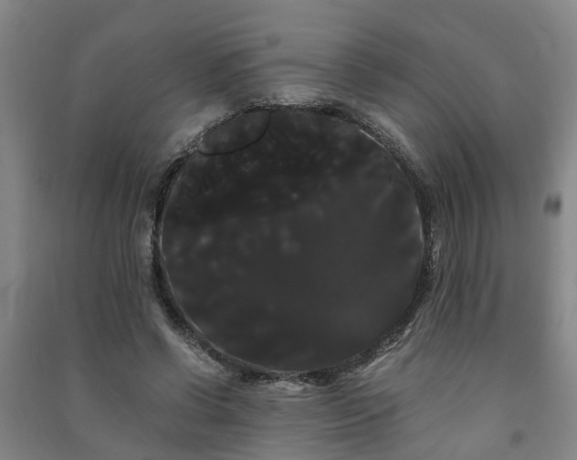 X0000091240542200708161738