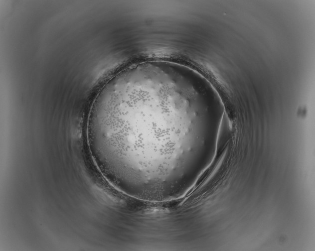 X0000091240543200708161738