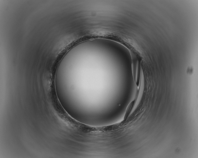X0000091240544200708161738