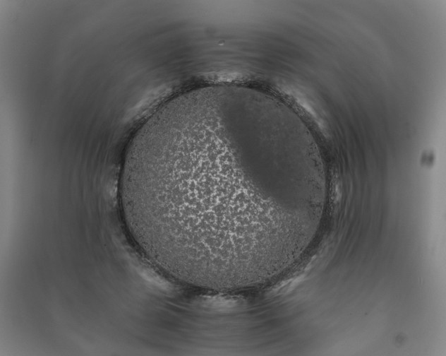 X0000091240545200708161738