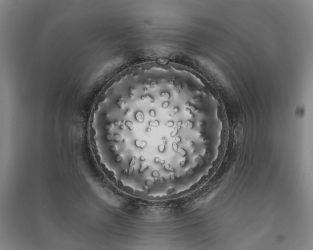 X0000091240546200708161738