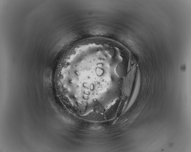 X0000091240547200708161738