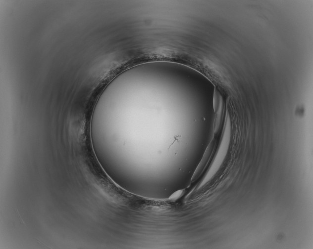 X0000091240548200708161738
