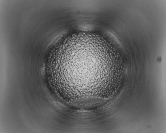 X0000091240549200708161738