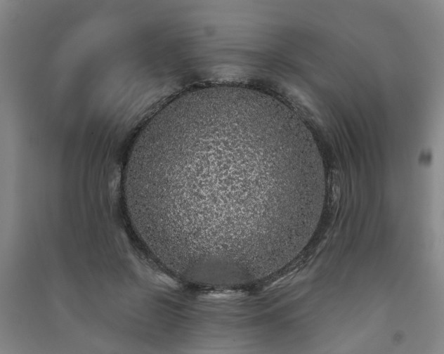 X0000091240550200708161738