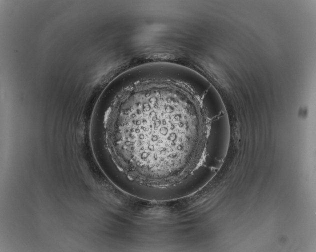 X0000091240551200708161738