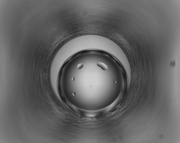 X0000091240552200708161738