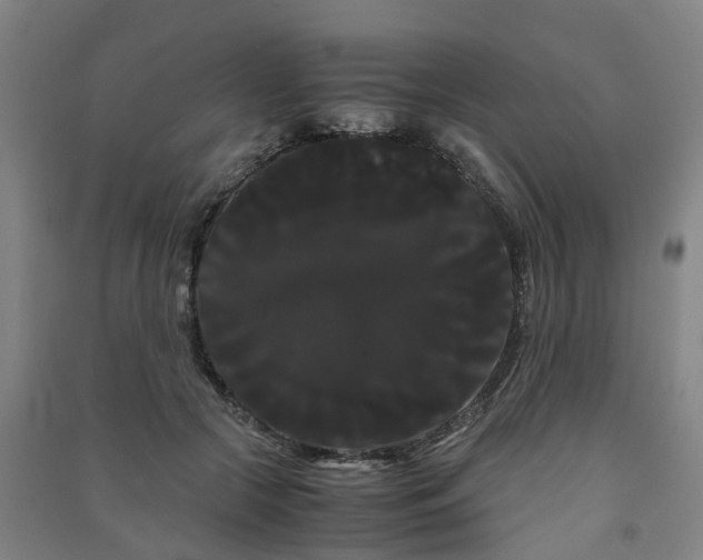 X0000091240553200708161738