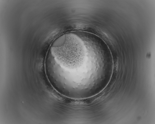 X0000091240554200708161738