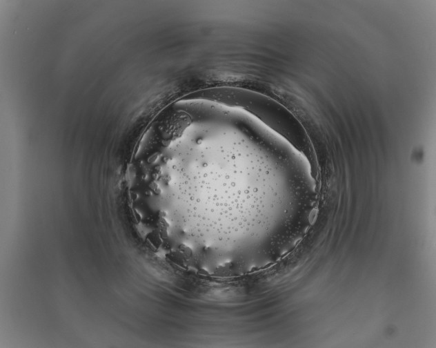 X0000091240555200708161738
