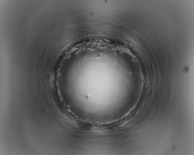 X0000091240556200708161738