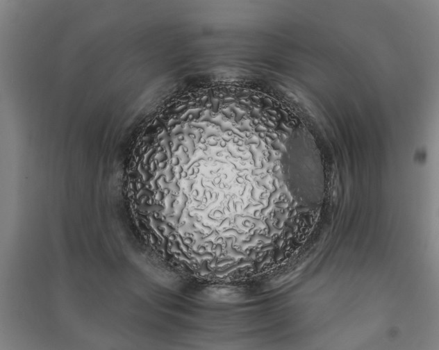X0000091240557200708161738