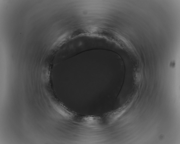 X0000091240558200708161738