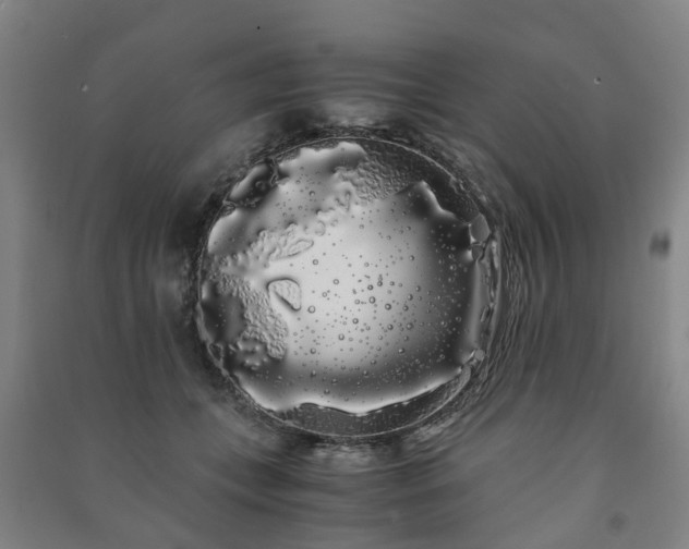 X0000091240559200708161738