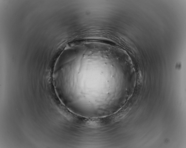 X0000091240560200708161738