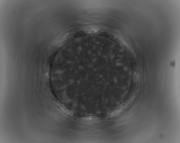 X0000091240561200708161738