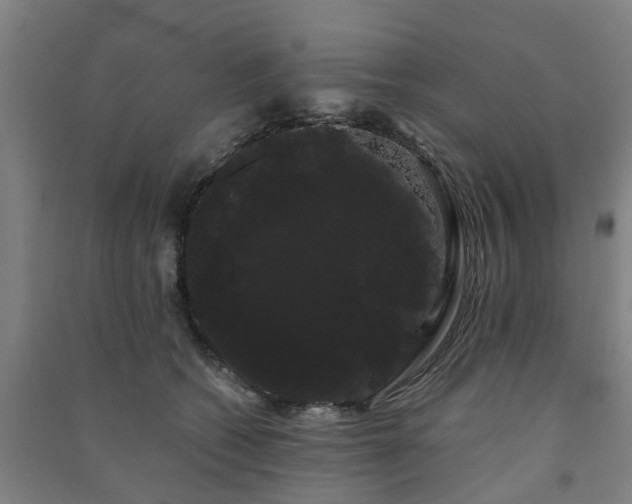 X0000091240562200708161738