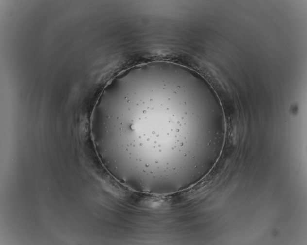 X0000091240563200708161738