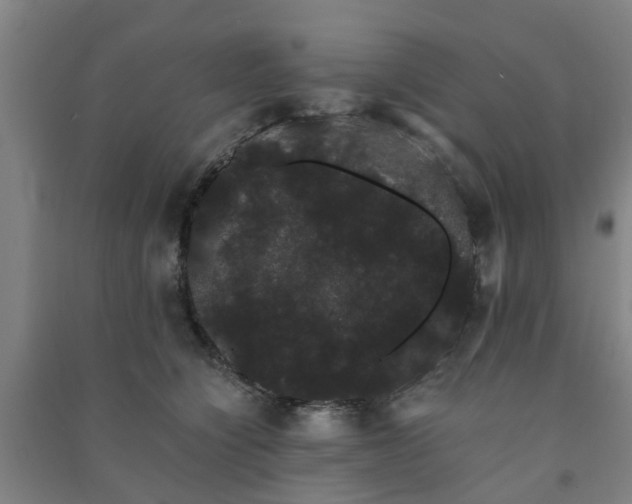 X0000091240564200708161738