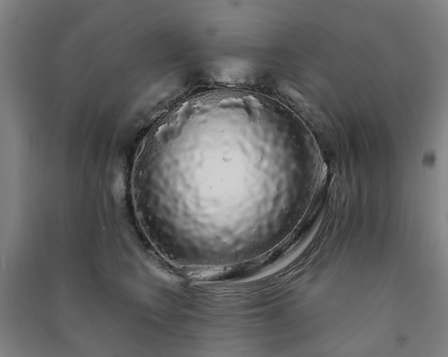 X0000091240566200708161738