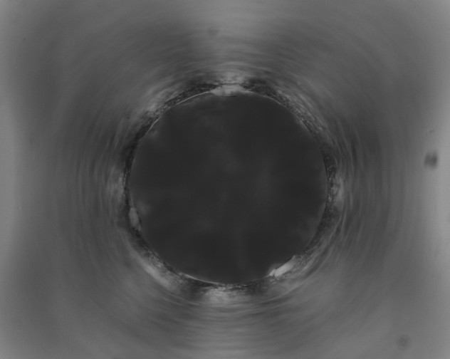 X0000091240568200708161738