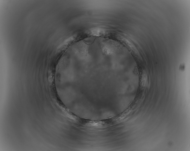 X0000091240569200708161738